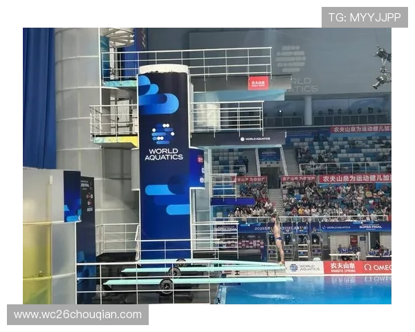 跳水世界杯比赛规则详解与参赛选手最新动态