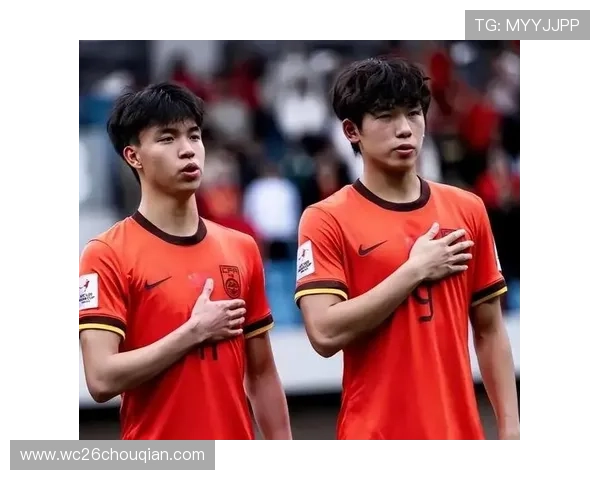 中国队在世界杯预选赛中的积分排名变化及影响因素全面分析