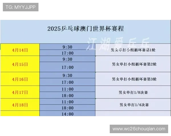 历届世界杯决赛比分数据一览，助你深入了解足球历史上的精彩对决